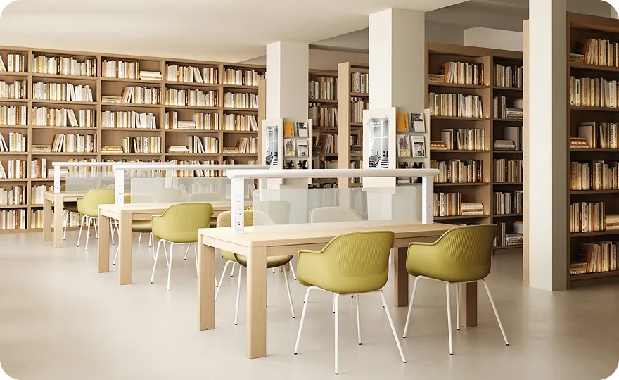 على أساس التقسيم الوظيفي