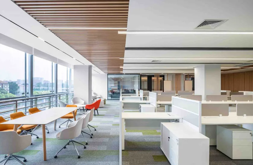 شركة مجموعة فانغ تشنغ الجديدة., المحدودة