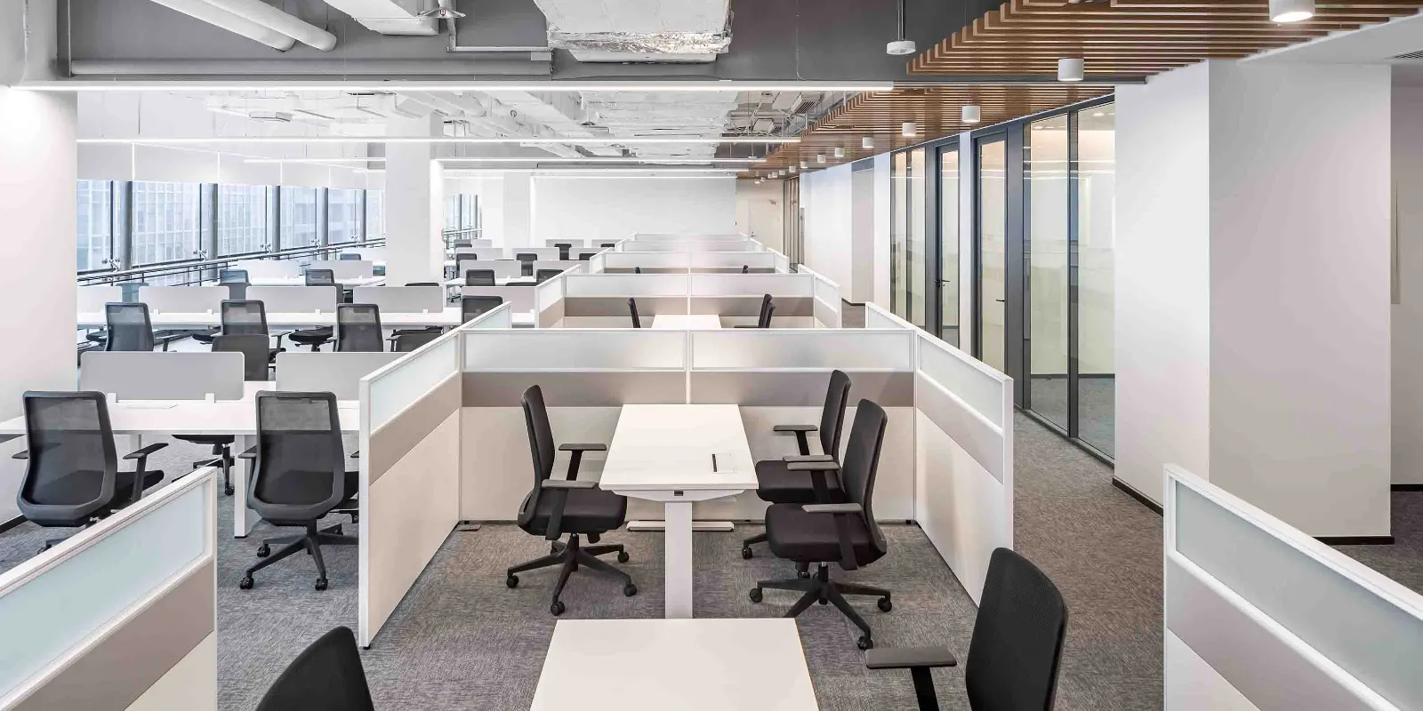 شركة مجموعة فانغ تشنغ الجديدة., المحدودة