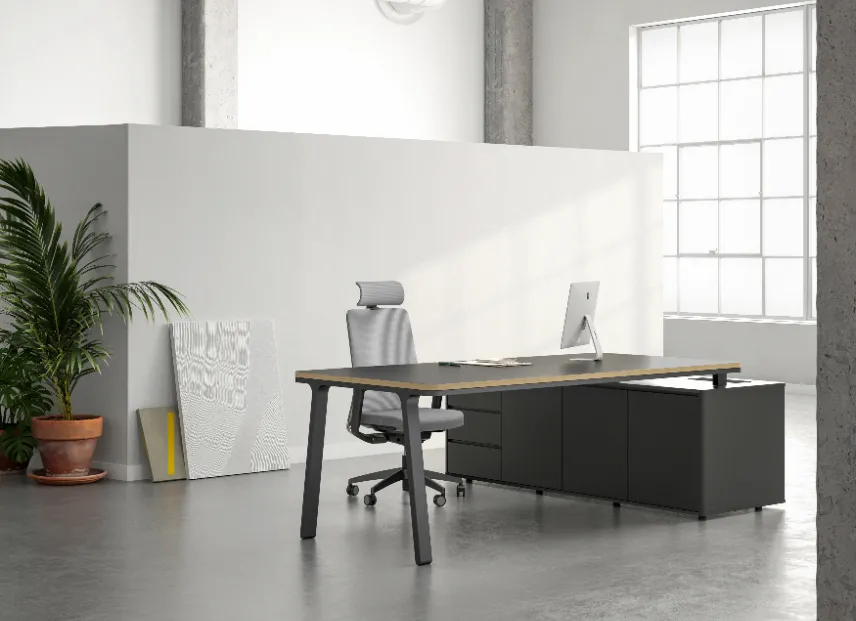 الميزات الرئيسية